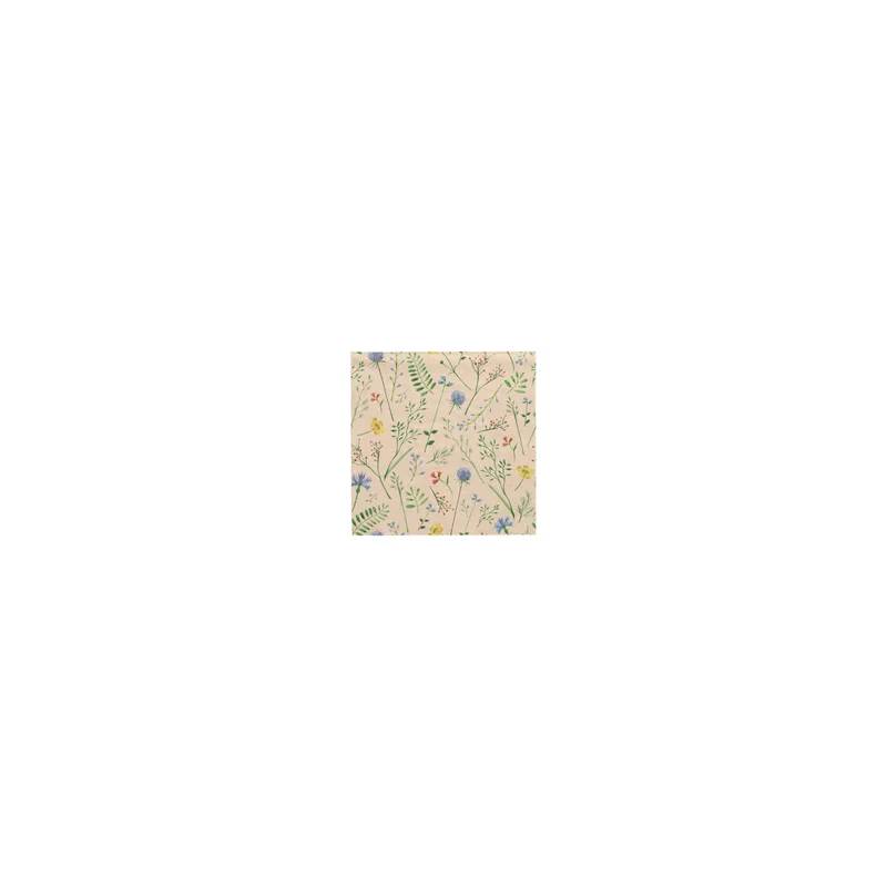 cookrock5596692