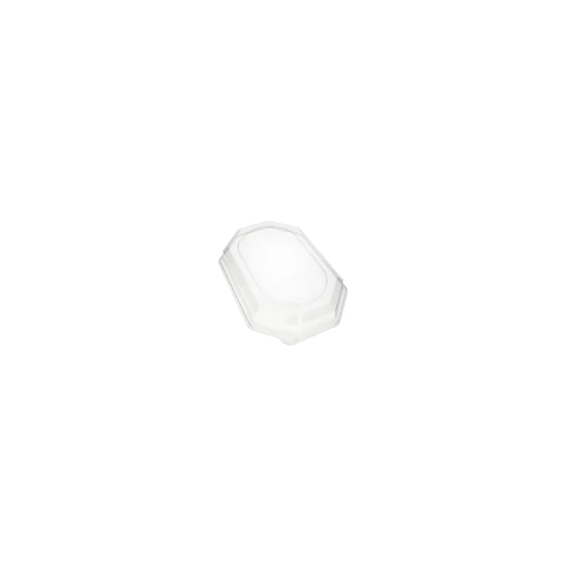 cookrock5601849
