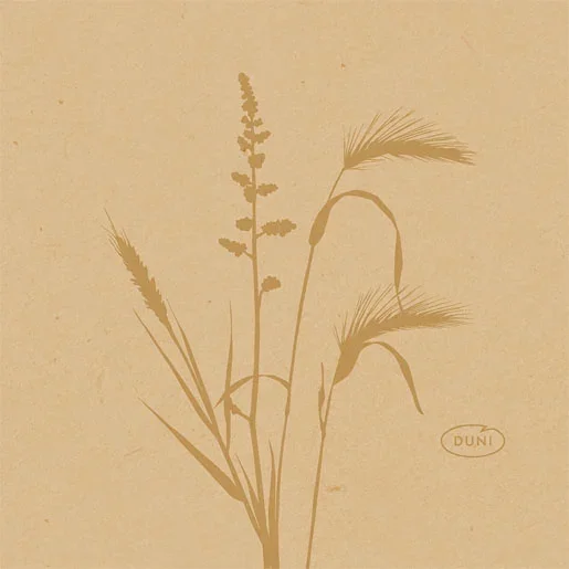 liefergastro5368164